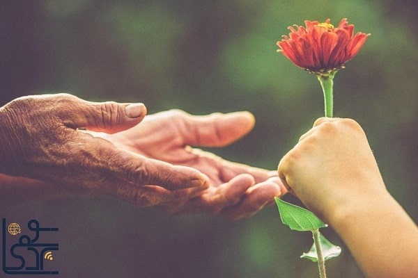 ۳ ویژگی بارز تم توانمندی متصل: