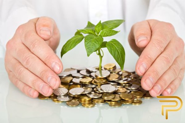  دیجیتال مارکتینگ از ایده های پولساز در امریکا 