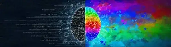 تفاوت بین هوش شناختی و هوش هیجانی