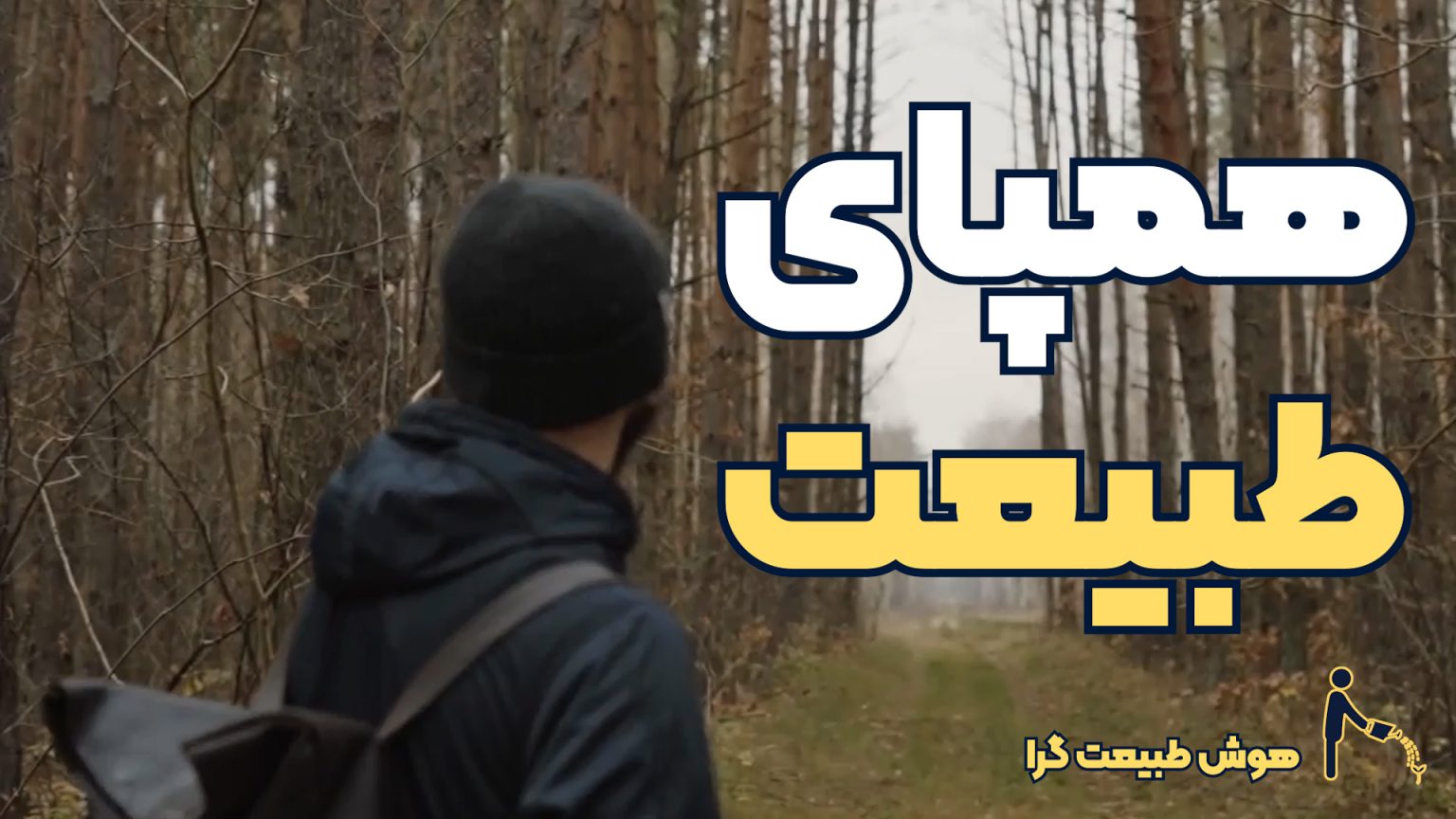 ویدئو هوش طبیعت گرای