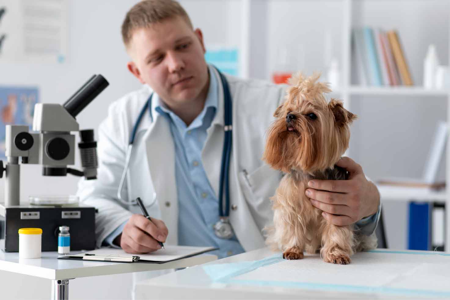 animal health ingredients